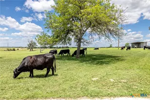 6589 State Hwy 304, Harwood, TX 78632 - Photo 32