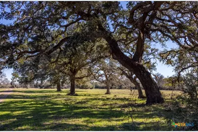 0000 County Road 284, Edna, TX 77964 - Photo 2