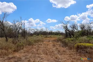 Tbd Parsons Rd, Victoria, TX 77904 - Photo 6