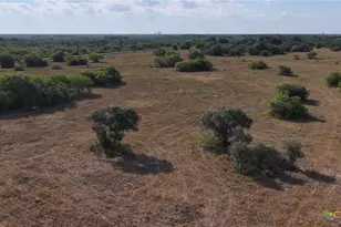 251 Old Goliad Rd, Refugio, TX 78377 - Photo 40