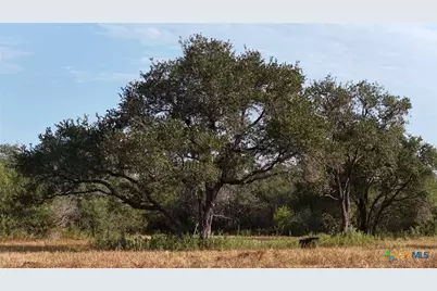 251 Old Goliad Road, Refugio, TX 78377 - Photo 1