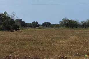 251 Old Goliad Rd, Refugio, TX 78377 - Photo 4