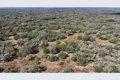 251 Old Goliad Road, Refugio, TX 78377 - Photo 32