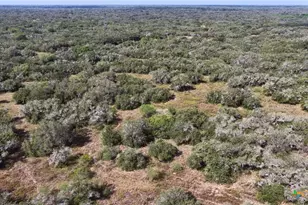 251 Old Goliad Rd, Refugio, TX 78377 - Photo 32