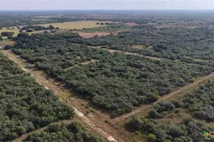 251 Old Goliad Rd, Refugio, TX 78377 - Photo 22