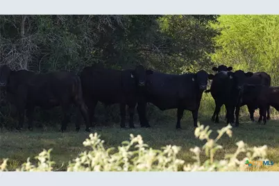 251 Old Goliad Road, Refugio, TX 78377 - Photo 20