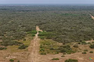 251 Old Goliad Rd, Refugio, TX 78377 - Photo 24
