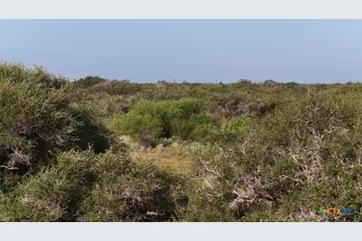 251 Old Goliad Road, Refugio, TX 78377 - Photo 8