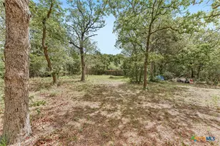 109 Elm Wood Dr, Elgin, TX 78621 - Photo 34