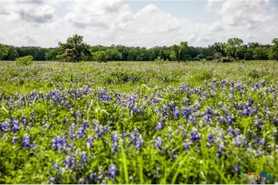 0000 Vilas Rd, Holland, TX 76534 - Photo 16