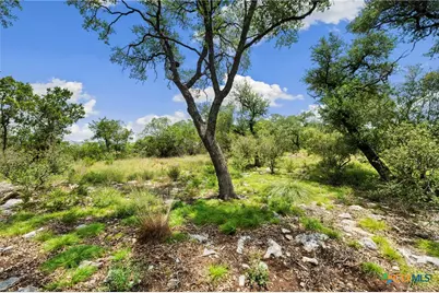 1772 Demi John Bend Road, Canyon Lake, TX 78133 - Photo 4