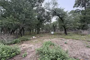 105 Clear Springs, Floresville, TX 78114 - Photo 10