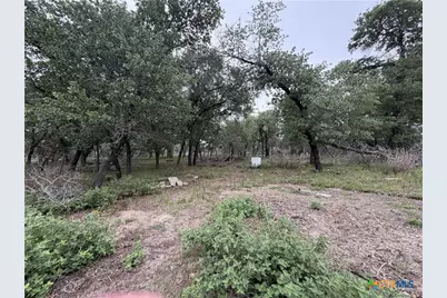 105 Clear Springs, Floresville, TX 78114 - Photo 4