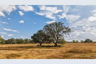 43 Rice Road, Yoakum, TX 77995 - Photo 10