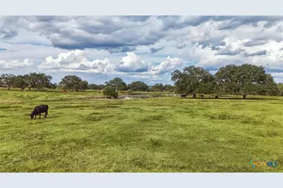 43 Rice Road, Yoakum, TX 77995 - Photo 4