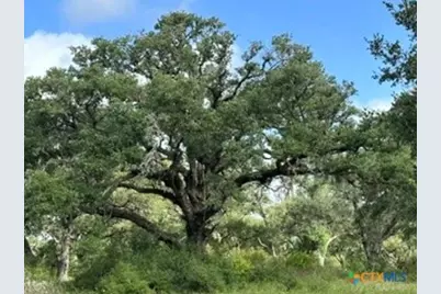 0000 Mission Valley Rd Road, Cuero, TX 77954 - Photo 2