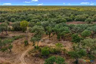 0000 Mission Valley Rd Rd, Cuero, TX 77954 - Photo 22