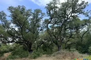 0000 Mission Valley Rd Rd, Cuero, TX 77954 - Photo 8