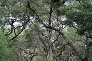 0000 Mission Valley Rd Rd, Cuero, TX 77954 - Photo 6