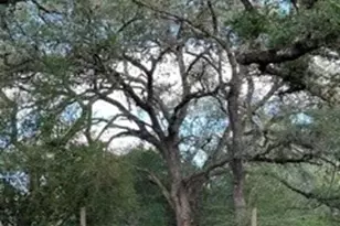 0000 Mission Valley Rd Rd, Cuero, TX 77954 - Photo 4