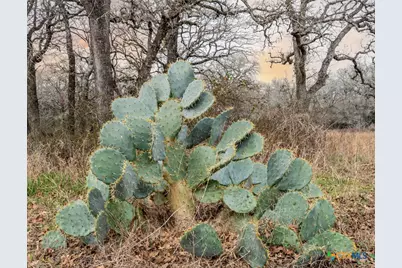 5912 Fm 1104, Kingsbury, TX 78638 - Photo 6