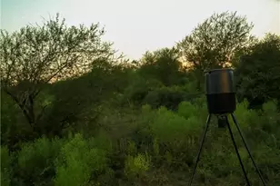 1938 FM1686, Victoria, TX 77905 - Photo 32