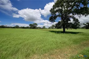 2901 Mule Creek Rd, Harwood, TX 78632 - Photo 16