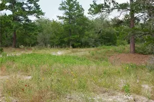 555 Altamira Ln, Dale, TX 78616 - Photo 18