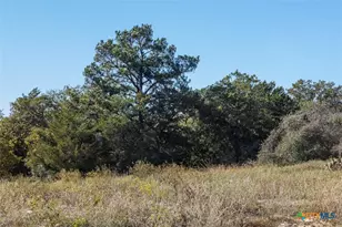 555 Altamira Ln, Dale, TX 78616 - Photo 26