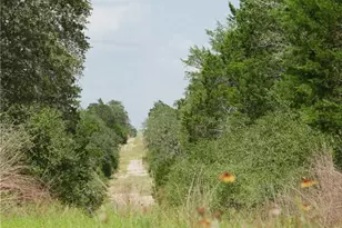 555 Altamira Ln, Dale, TX 78616 - Photo 30