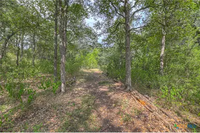 921 Santa Cruz, New Braunfels, TX 78132 - Photo 44