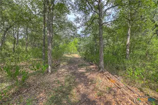 921 Santa Cruz, New Braunfels, TX 78132 - Photo 44