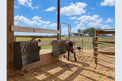2491 E Fannin Goliad, Goliad, TX 77963 - Photo 18