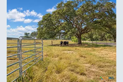 2491 E Fannin Goliad, Goliad, TX 77963 - Photo 20