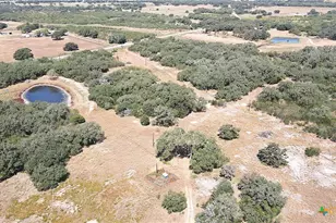 Tbd Danforth Rd, Goliad, TX 77963 - Photo 40