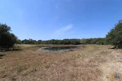 Tbd Danforth Road, Goliad, TX 77963 - Photo 20
