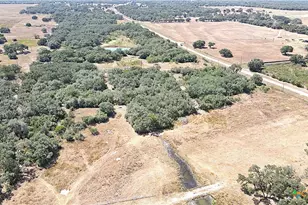 Tbd Danforth Rd, Goliad, TX 77963 - Photo 34
