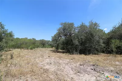 Tbd Danforth Road, Goliad, TX 77963 - Photo 10