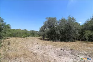 Tbd Danforth Rd, Goliad, TX 77963 - Photo 10