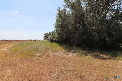 Tbd Danforth Road, Goliad, TX 77963 - Photo 24