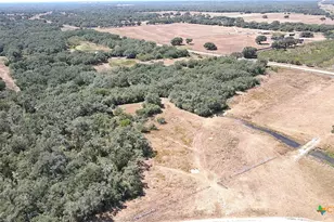 Tbd Danforth Rd, Goliad, TX 77963 - Photo 42