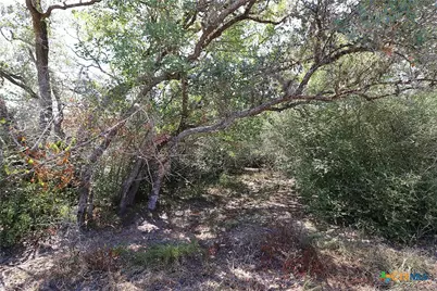 Tbd Danforth Road, Goliad, TX 77963 - Photo 8