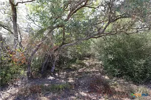 Tbd Danforth Rd, Goliad, TX 77963 - Photo 8