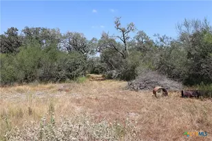 Tbd Danforth Rd, Goliad, TX 77963 - Photo 14