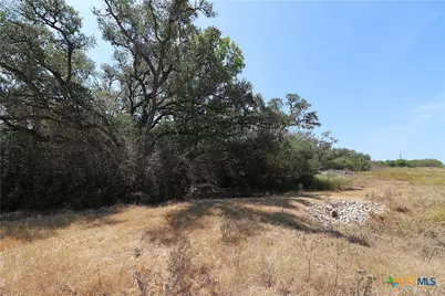 Tbd Danforth Road, Goliad, TX 77963 - Photo 6