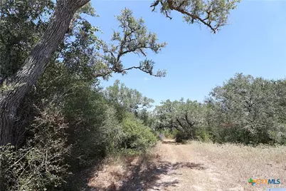 Tbd Danforth Road, Goliad, TX 77963 - Photo 28