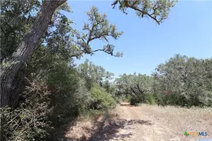Tbd Danforth Rd, Goliad, TX 77963 - Photo 28