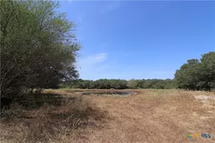 Tbd Danforth Rd, Goliad, TX 77963 - Photo 18