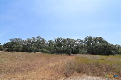 Tbd Danforth Road, Goliad, TX 77963 - Photo 4