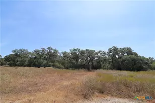 Tbd Danforth Rd, Goliad, TX 77963 - Photo 4